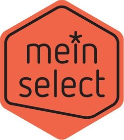Logo Meinselect