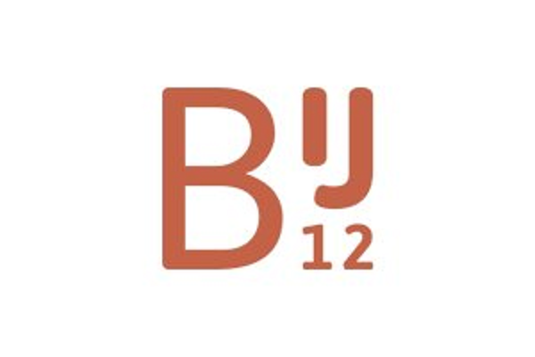 Logo  BIJ12