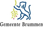 Logo Gemeente Brummen